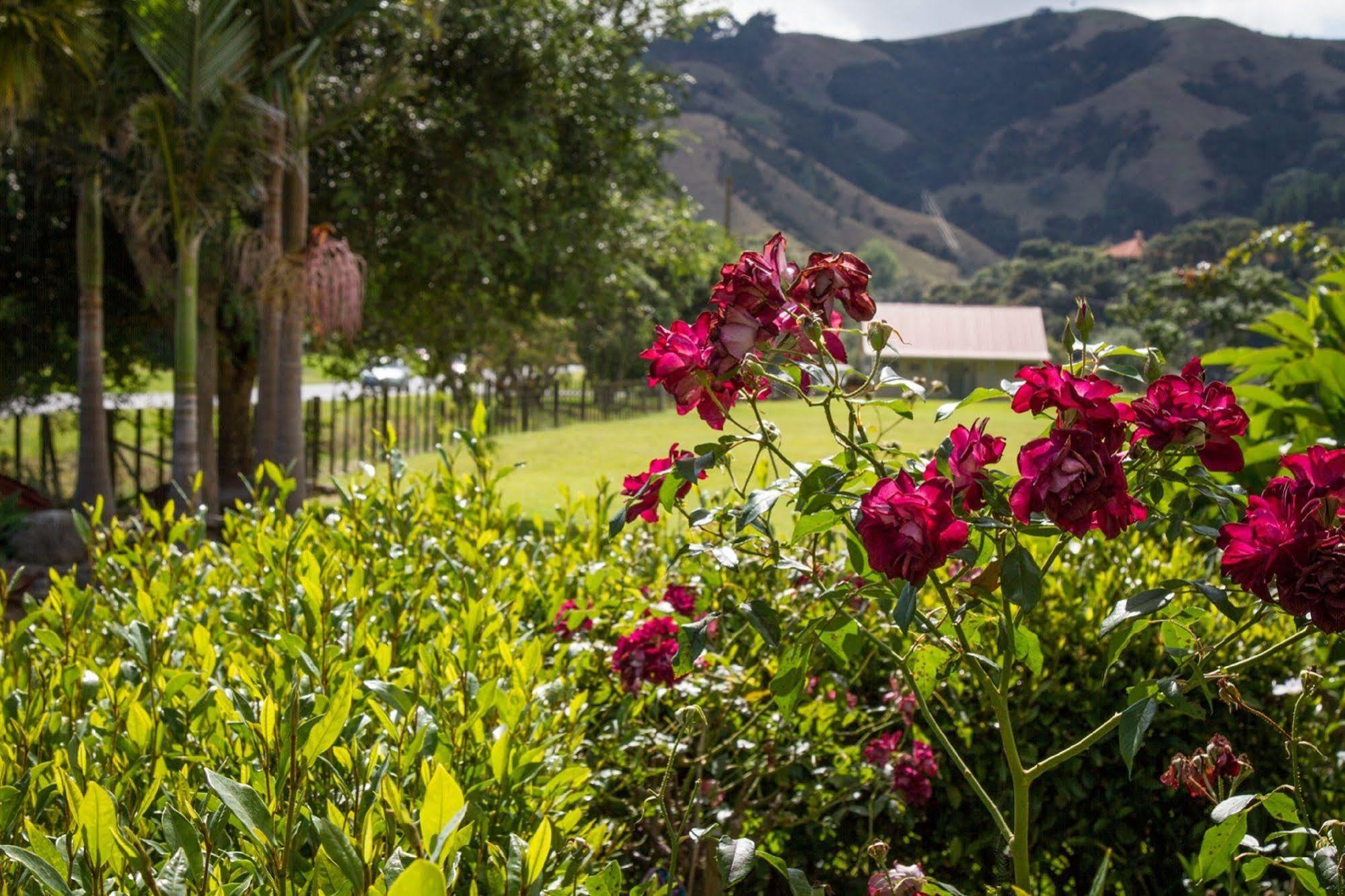 Taigh Na Mara Bed And Breakfast Whitianga Exterior foto